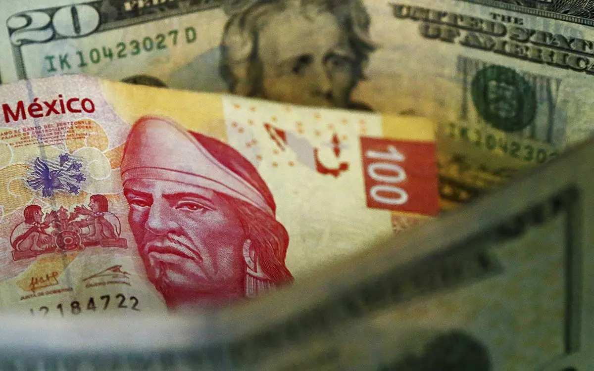 Crece economia