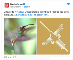 LINEAS NAZCA 3