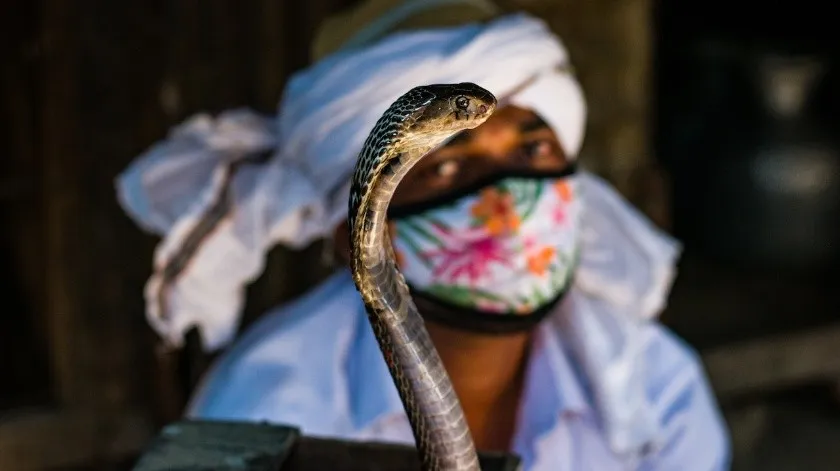 NIÑO MUERDE A COBRA Y A MATA