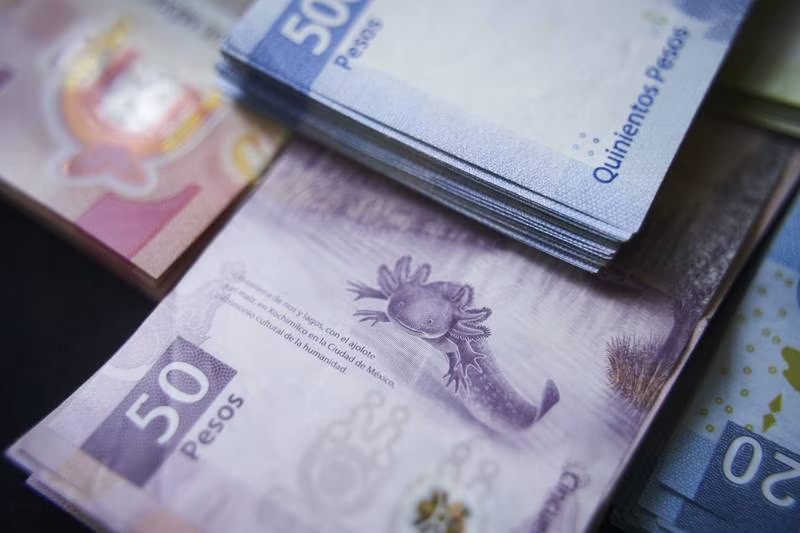 INGRESOS JUNIO