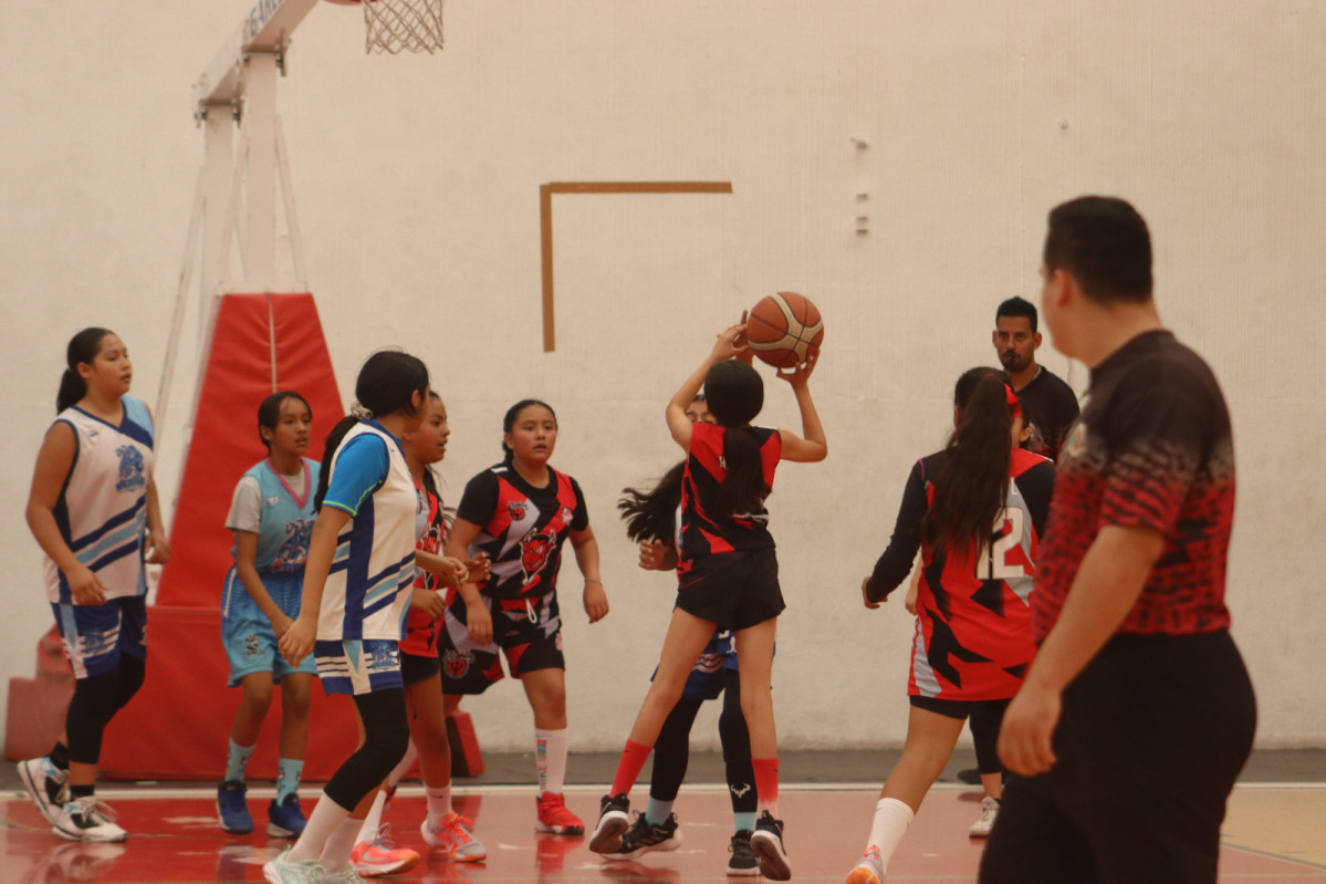 Basquetbol 5