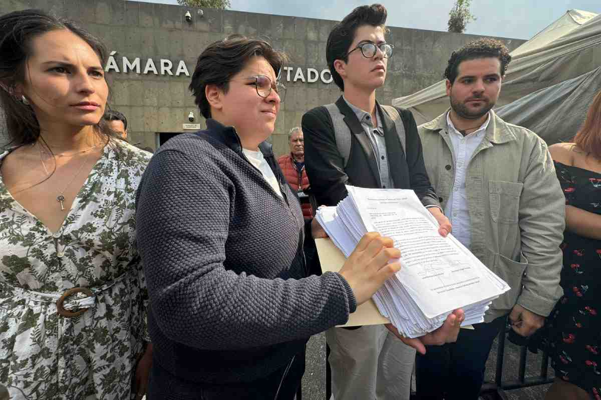 Estudianrtes en la camara de dipoutados