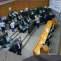 SENADO
