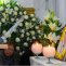 Padre marcelo perez perez