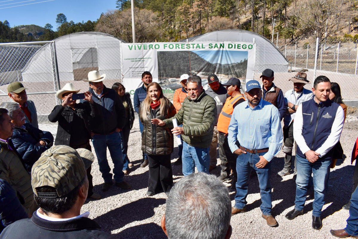 DURANGO FORESTAL 34