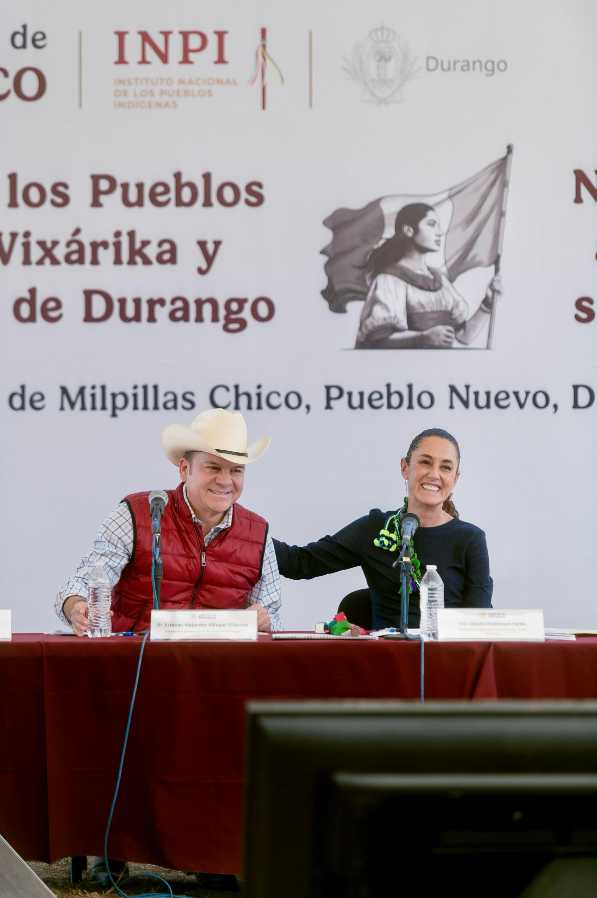 MIlpillas Chico 7
