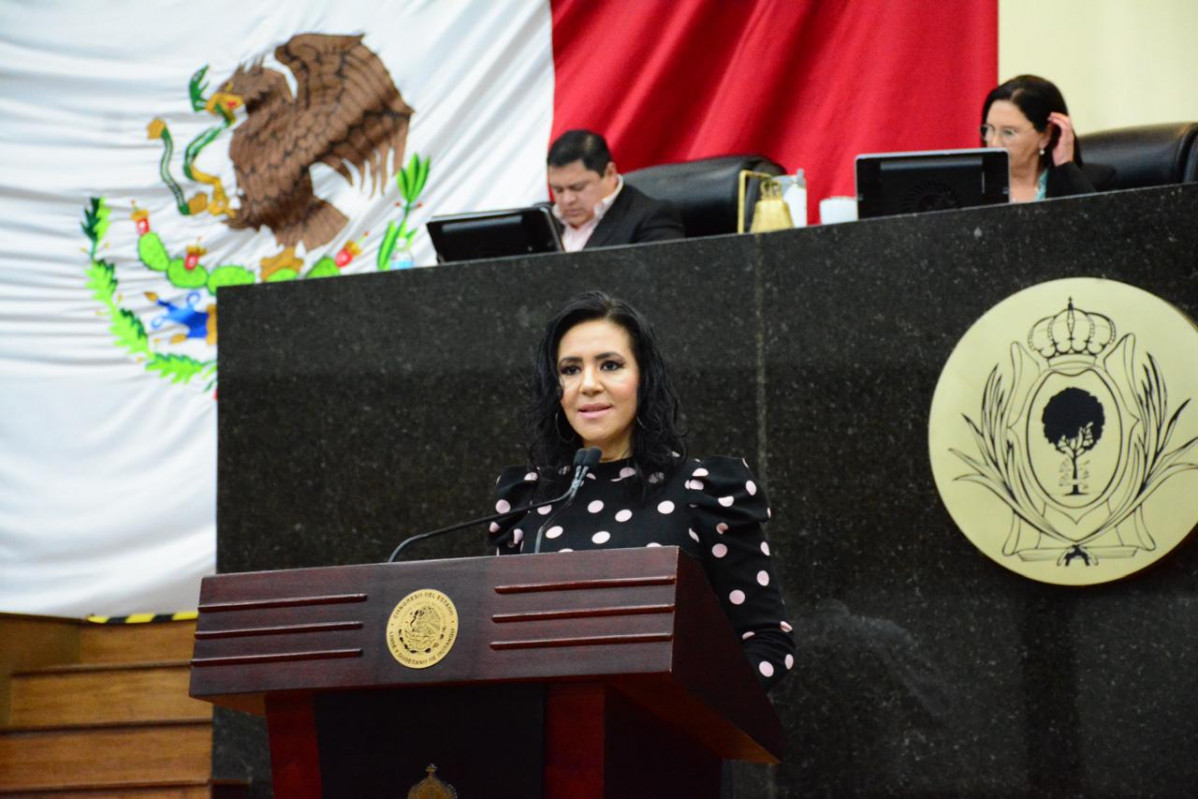 Diputada Mayra Rodriguez