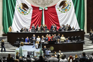 DIPUTADOS FEDERALES