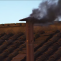 HUMO NEGRO
